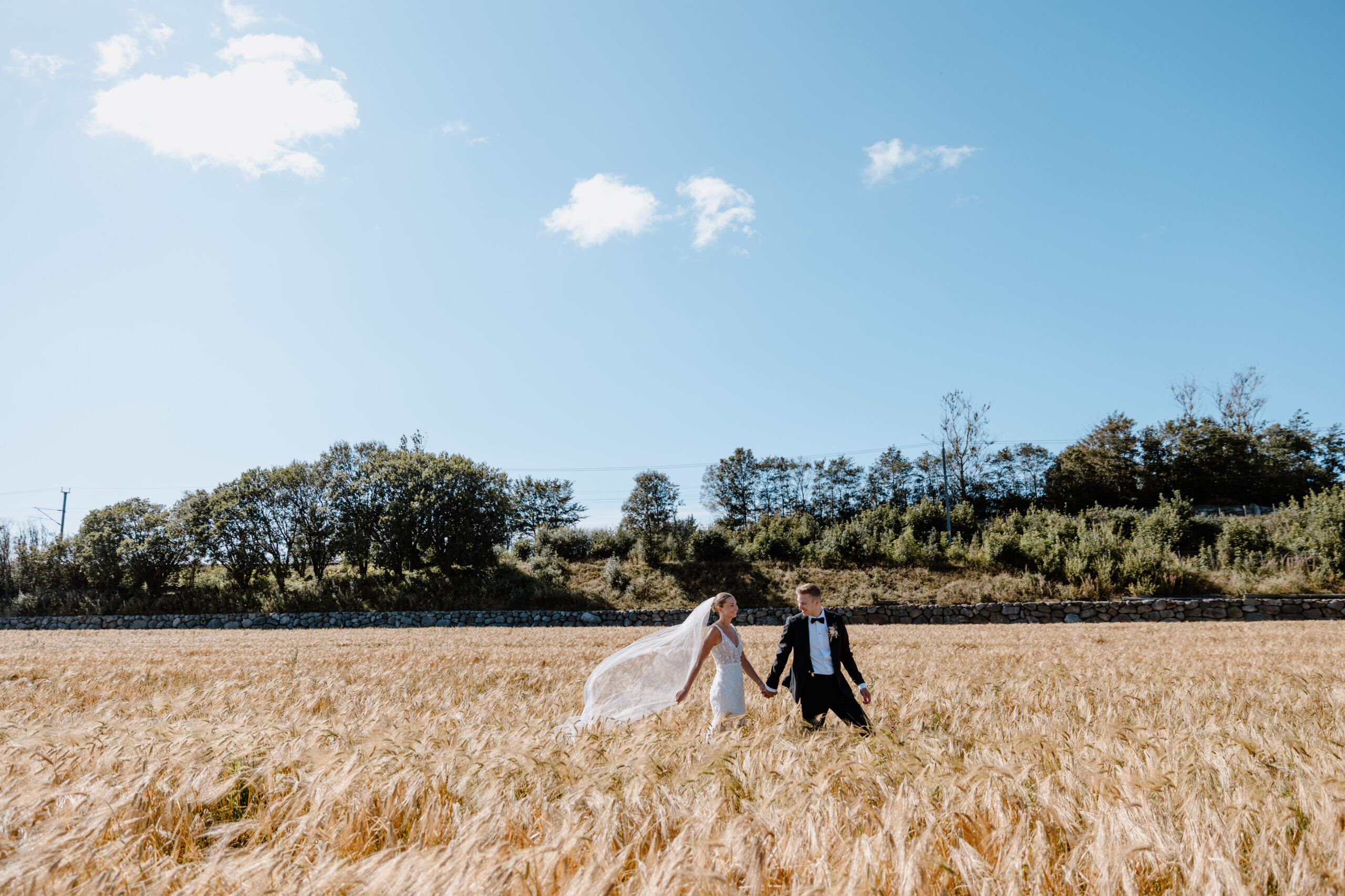brudepar i kornåker, bryllupsbilder, fotografering, portrett